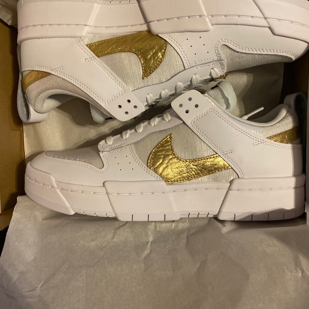 Nike Dunk Disrupt